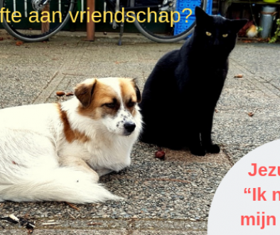 Behoefte aan vriendschap_ (1)